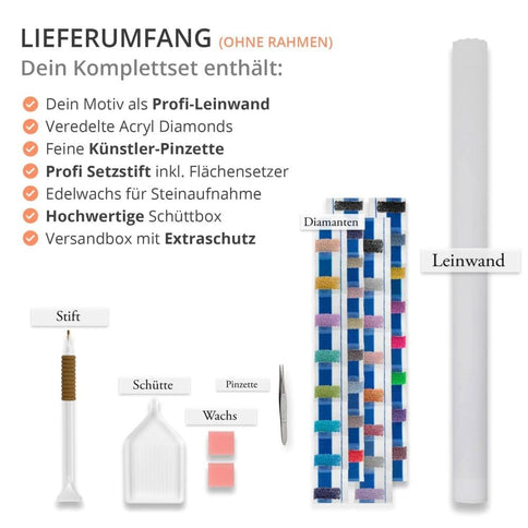 Diamond Painting - Ozeanischer Traumflug