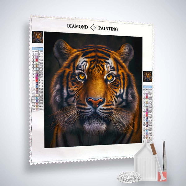 Malen nach Zahlen - Tiger frontaler Blick - hochwertige Leinwand - 170523, Neu eingetroffen, Quadratisch, Tiere, Tiger