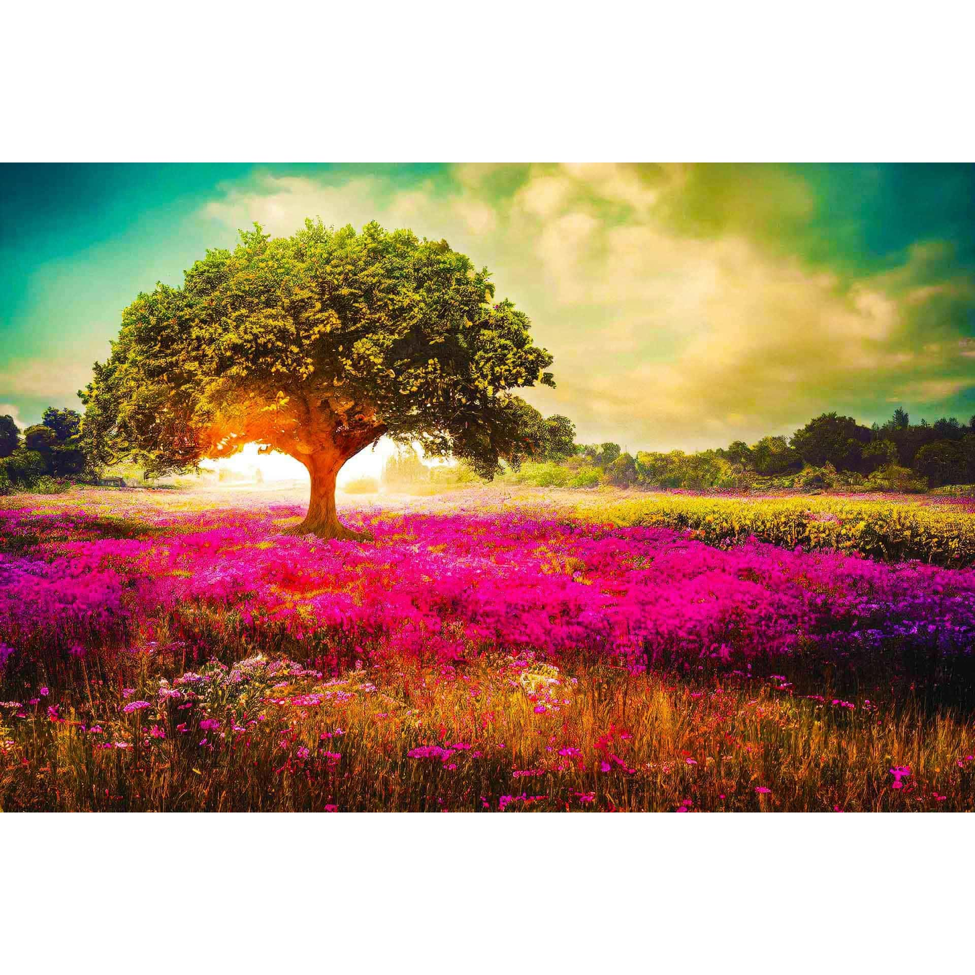 Diamond Painting - Beleuchteter Sonnenbaum - gedruckt in Ultra-HD - Baum, Horizontal, Landschaft, Sonnenuntergang