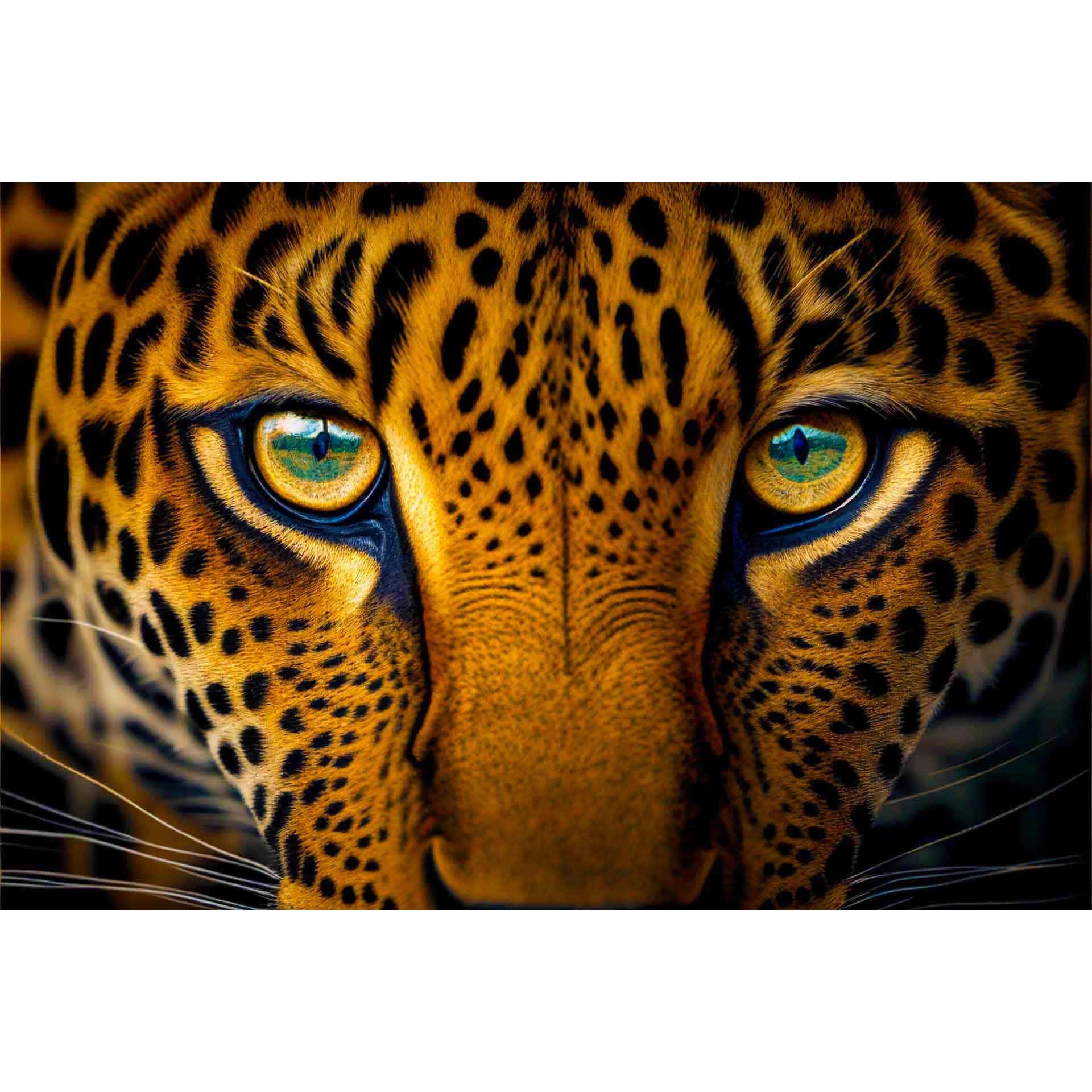 Diamond Painting - Augen des Leopard - gedruckt in Ultra-HD - Horizontal, Leopard, Tiere