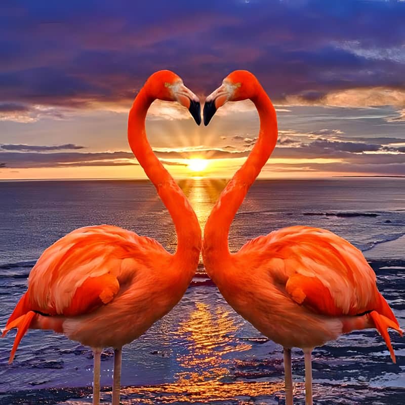 Diamond Painting - Flamingo Herz im Sonnenuntergang - gedruckt in Ultra-HD - flamingos, sonnenuntergang, tiere